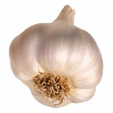 Garlic Head Each